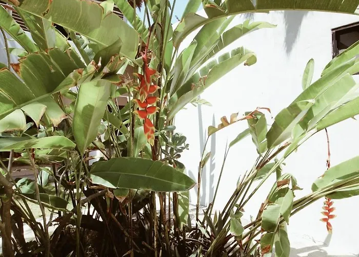 Aqua Viva Hotel Tulum